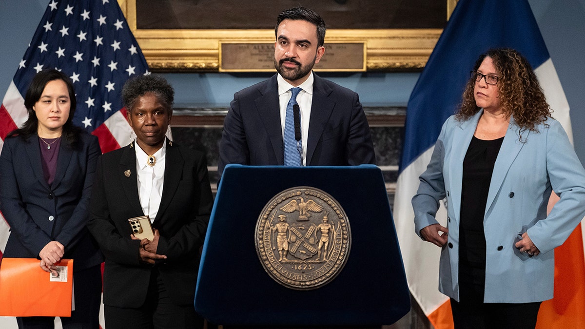 Democrats’ Promises on Affordability: A Closer Look