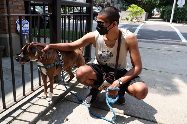 Air Quality Concerns Affect Pets and Wildlife