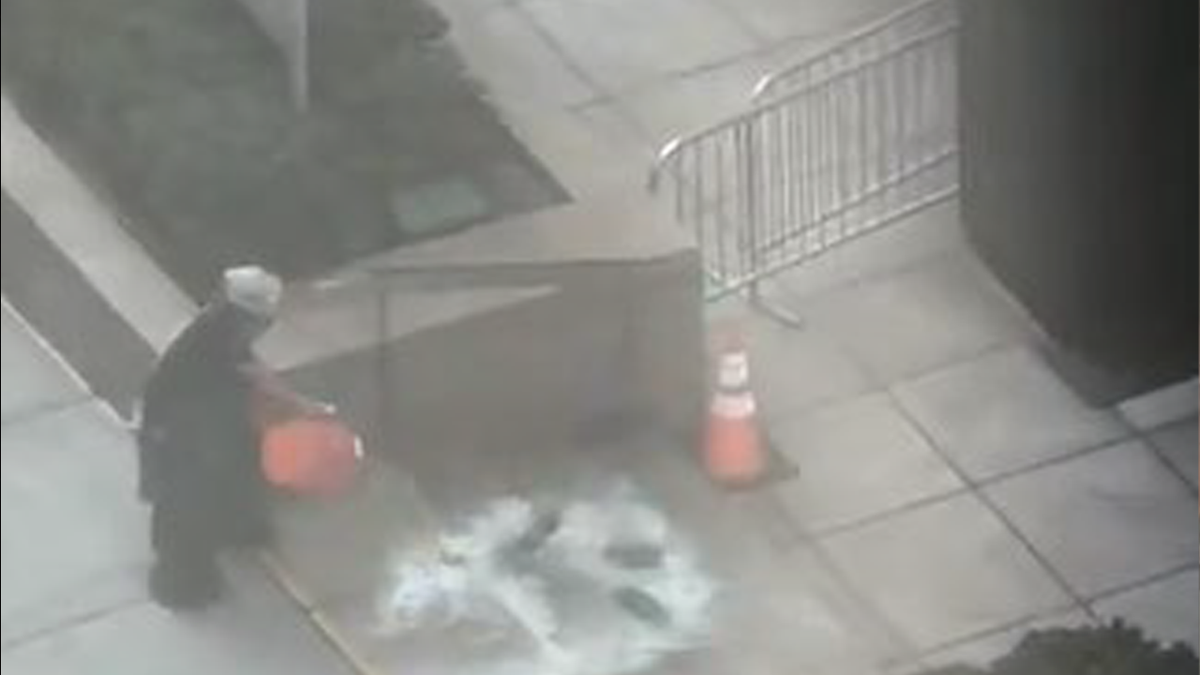 Surveillance Video Shows Alleged Arson Attack at Federal Building in NYC