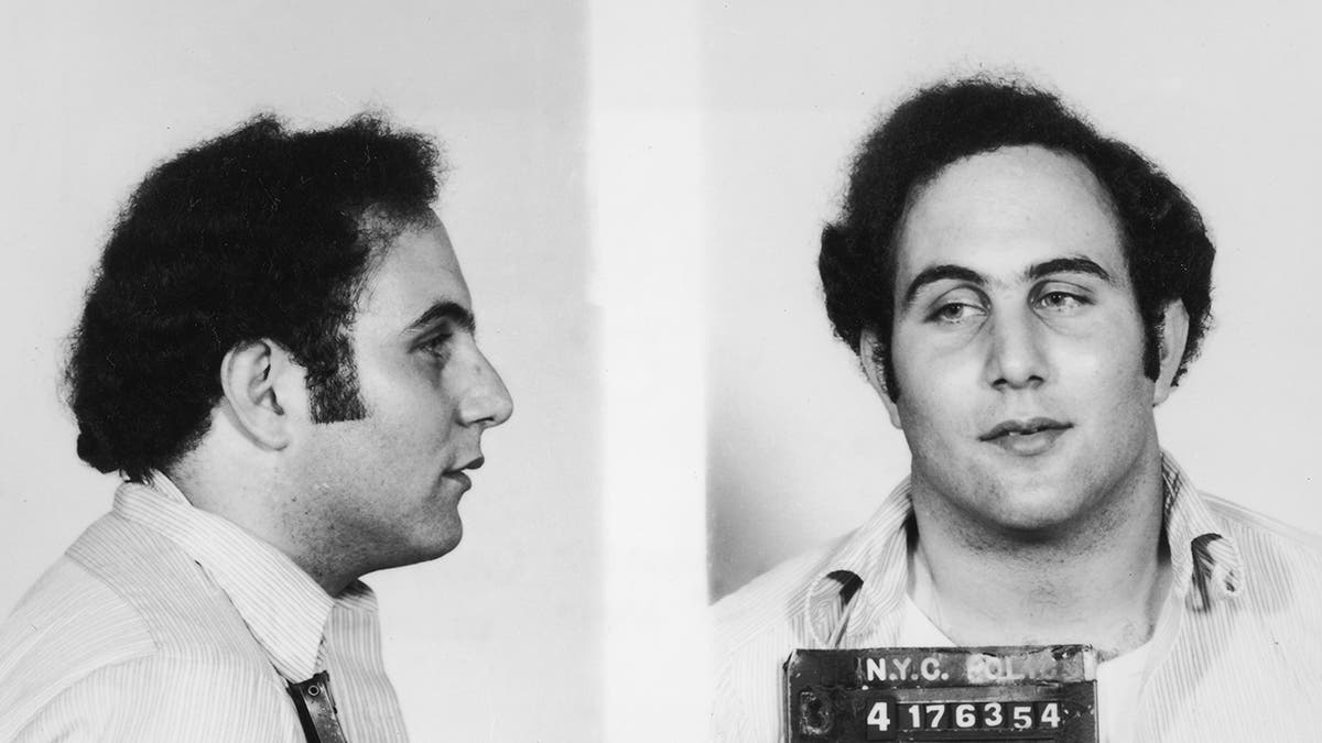 Controversial New York Bills and the Legacy of ‘Son of Sam’