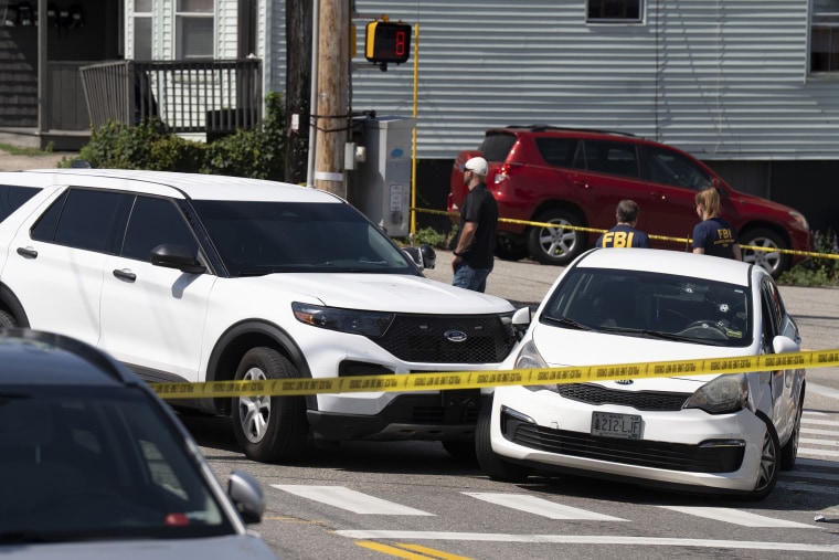 Trump Comments on Continued ICE Traffic Stops After Fatal Incidents