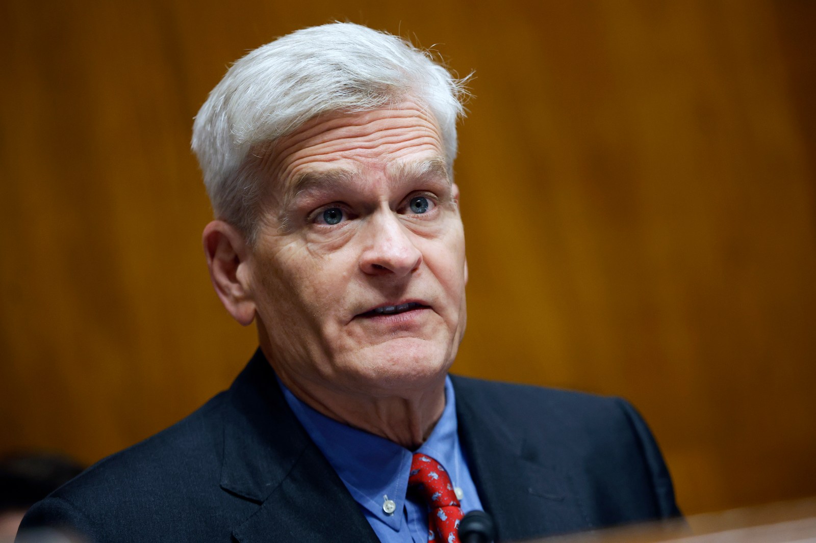 Incumbent Losses Highlight Challenges in 2026 Midterm Primaries