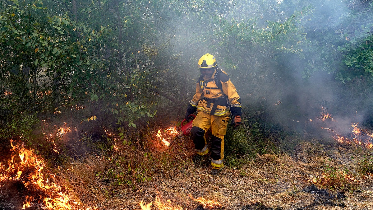 Wildfires in France and Spain: Causes, Impact, and Challenges