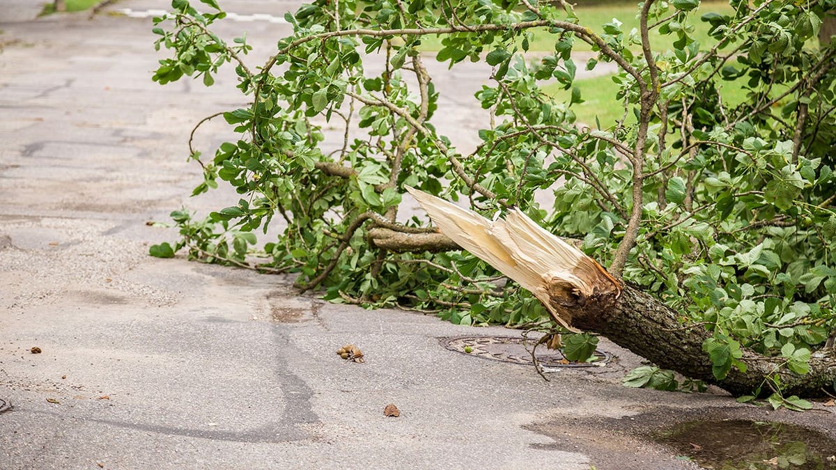 Severe Storm Causes Injury at Six Flags Over Georgia