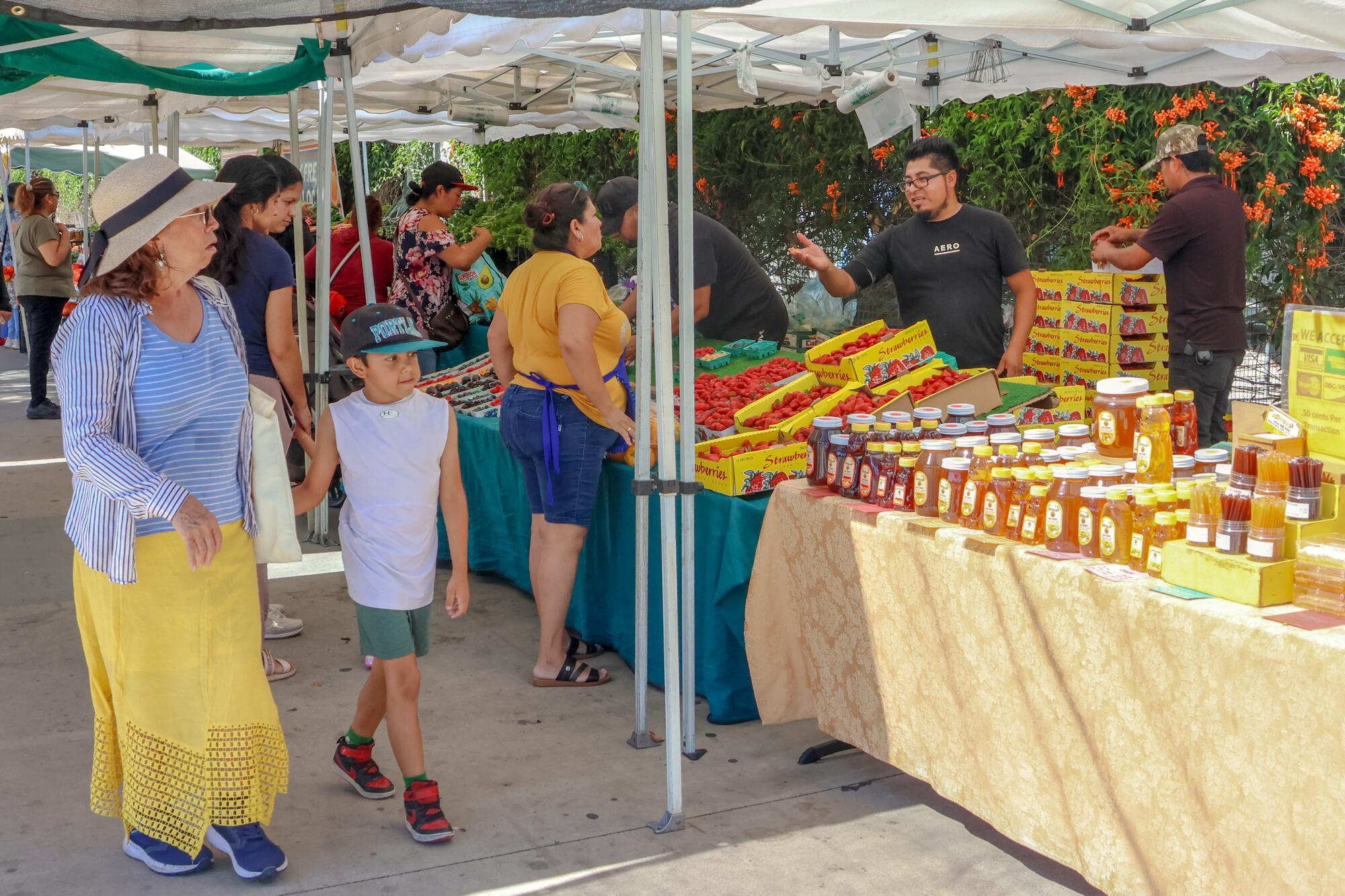Challenges at Central Avenue Farmers Market Amid EBT Cuts