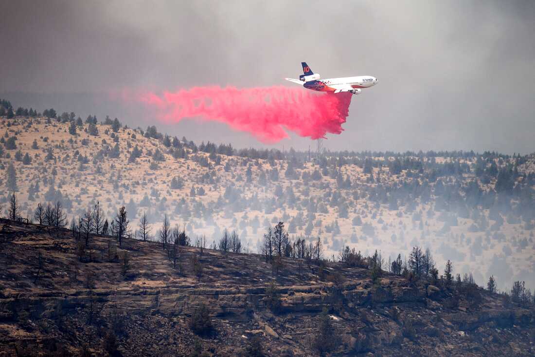 Oregon Faces Intense Wildfire Season Amidst Challenging Conditions