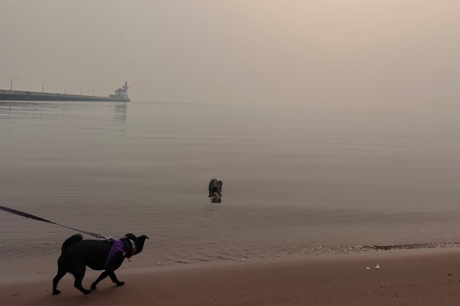 Tips for Managing Air Quality During Wildfire Smoke