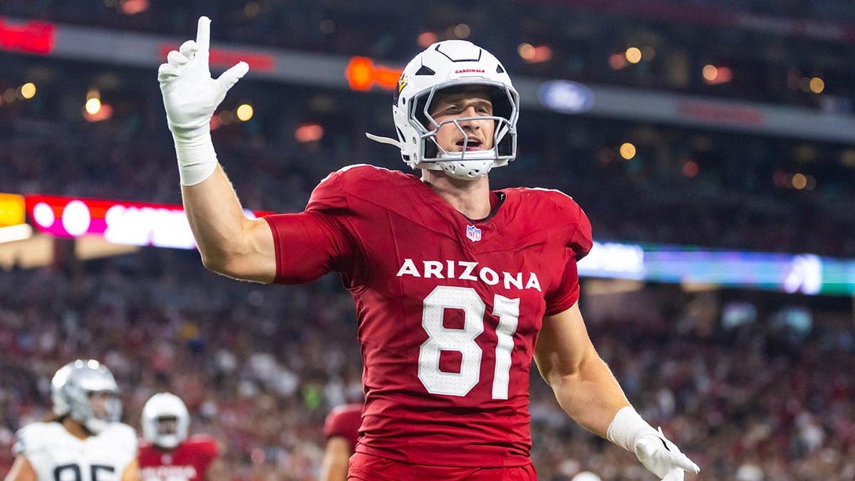 Arizona Cardinals Tight End Travis Vokolek Announces Retirement Due to Neck Injury