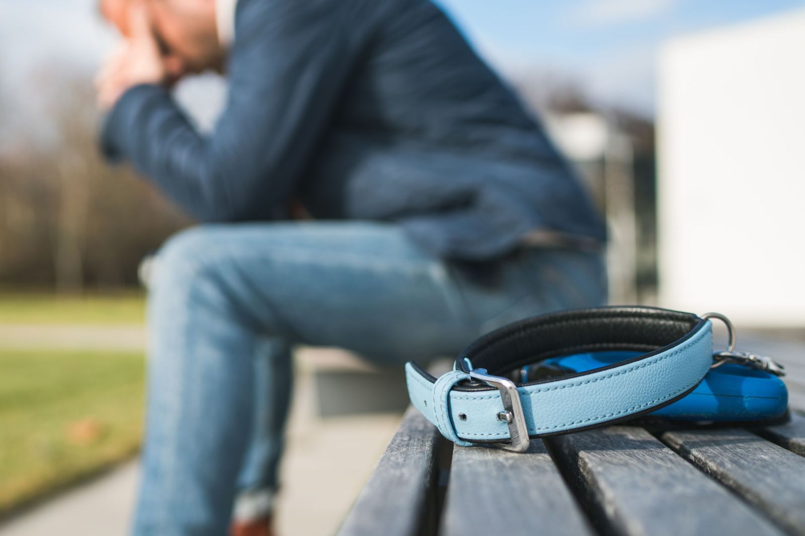 AI Tools Offer New Ways to Cope with Pet Loss