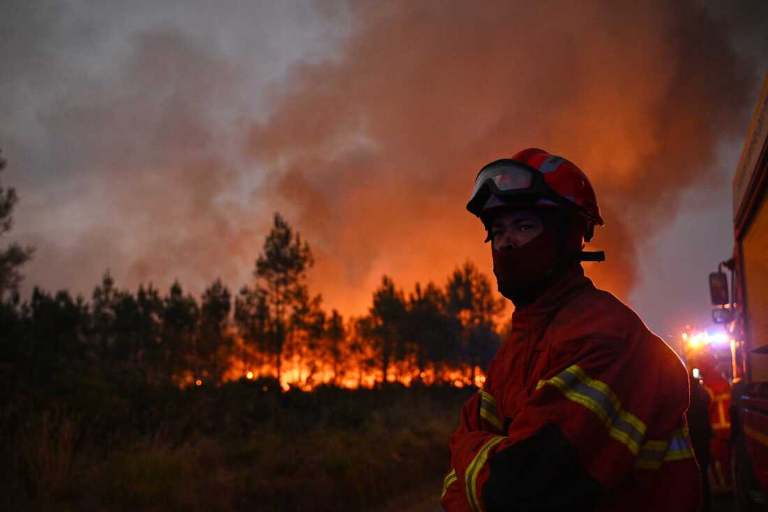 France and Spain Struggle with Devastating Wildfires and Mass Evacuations