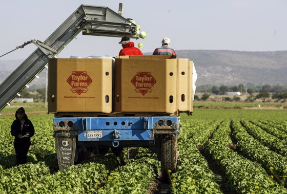 Taylor Farms Linked to Multiple Produce-Related Outbreaks