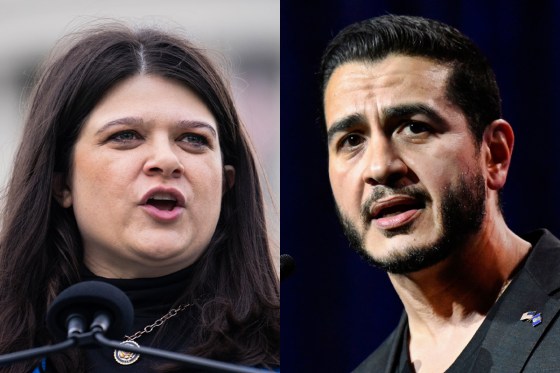 Michigan Hosts Tense Democratic Senate Primary