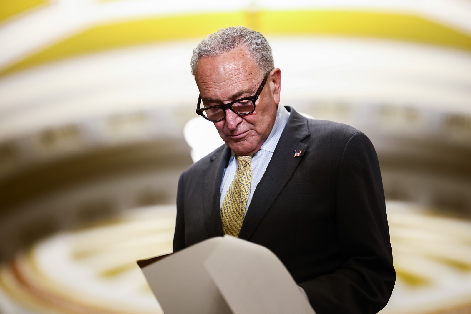 Senate Democrats Prepare for Potential Election Disruptions