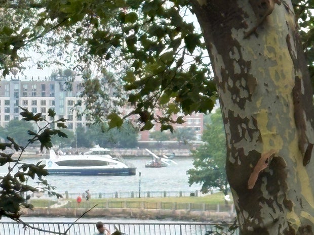 Seaplane’s Hard Landing in East River: Investigation Underway