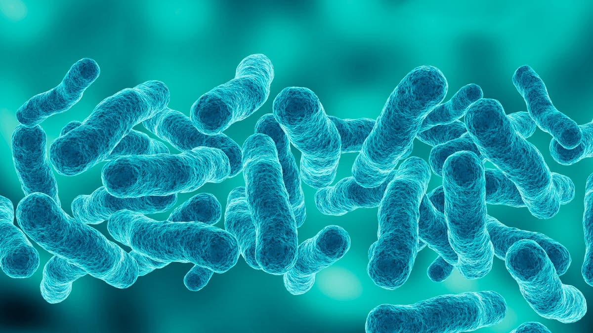 Health Officials Alert Public to Legionnaires’ Outbreak in NYC