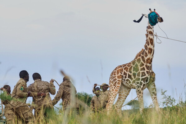 Escalation in U.S.-Iran Conflict Amid Maritime Tensions