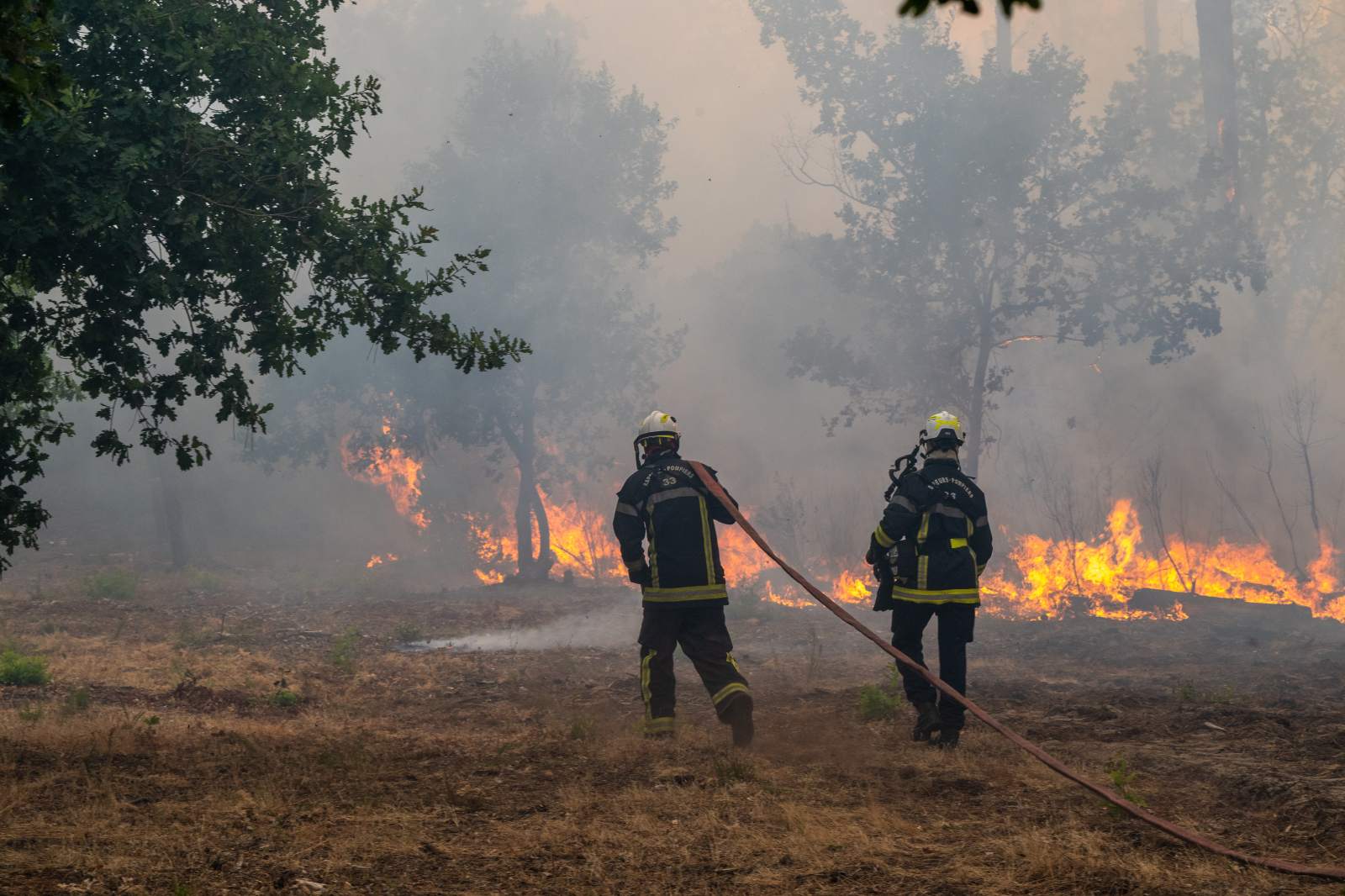 Mass Evacuations as Unprecedented Wildfires Ravage France and Spain