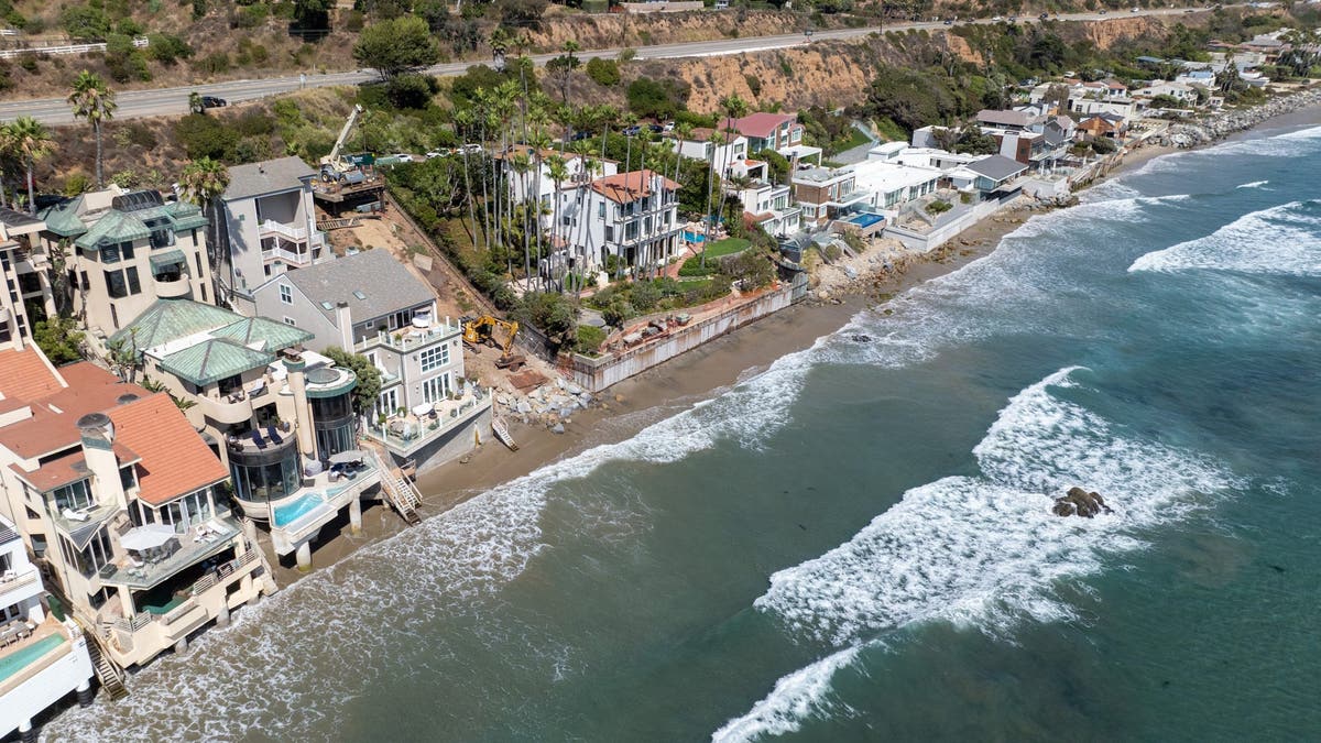 Professional Squatters in Los Angeles: A Growing Public Safety Concern
