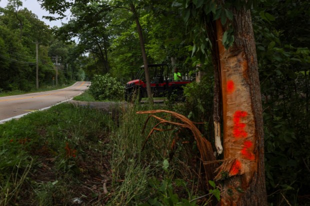 Fatal Rollover Crash in Barrington Hills Claims One Life