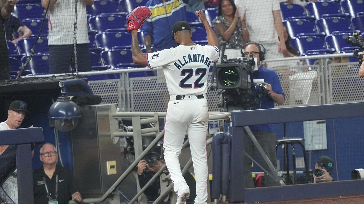 Miami Marlins: A Tale of Rise and Sudden Fall in MLB