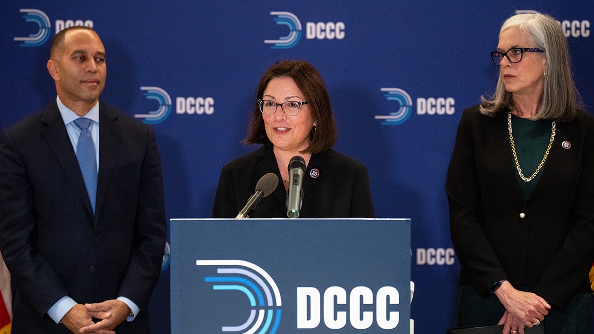 Democratic National Committee Faces Financial Challenges Ahead of Midterms