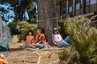 Activists Battle School District Over Tree Removal in Pasadena