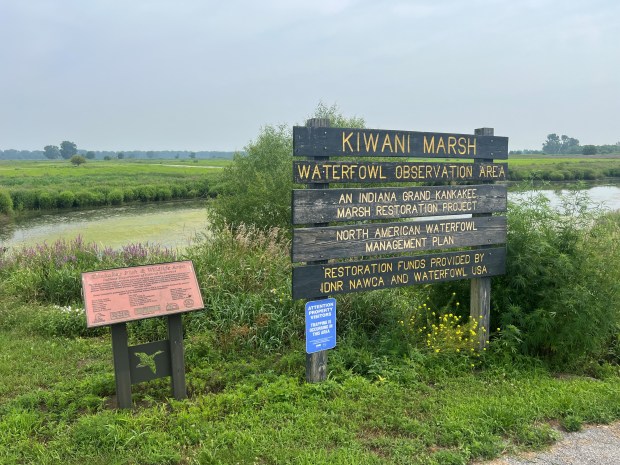 Presidential History and Local Marshland Restoration