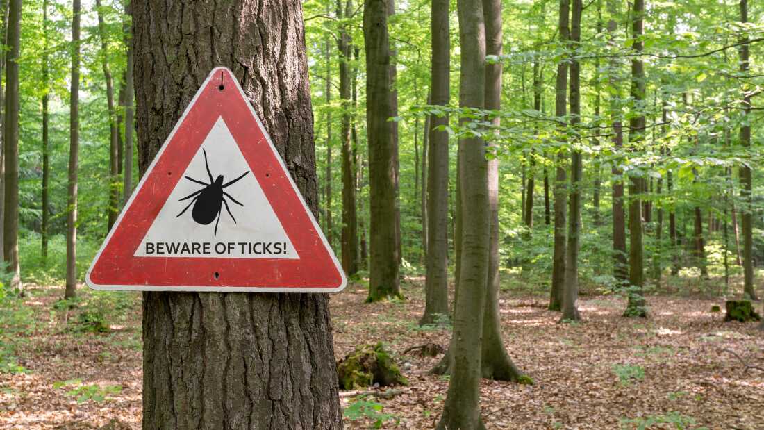 The Growing Concern of Tick-Borne Illnesses