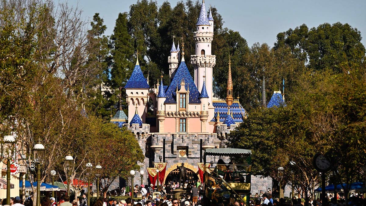 Disneyland Faces Water Outage, Temporary Closures