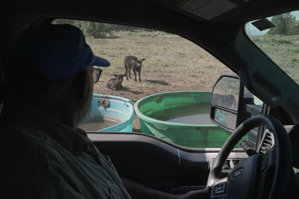 Ranchers Face Challenges with Water Shortage in Colorado