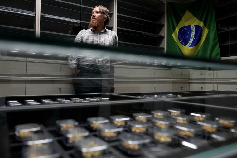 Brazil Uses Forensic Science to Combat Illegal Gold Mining in the Amazon