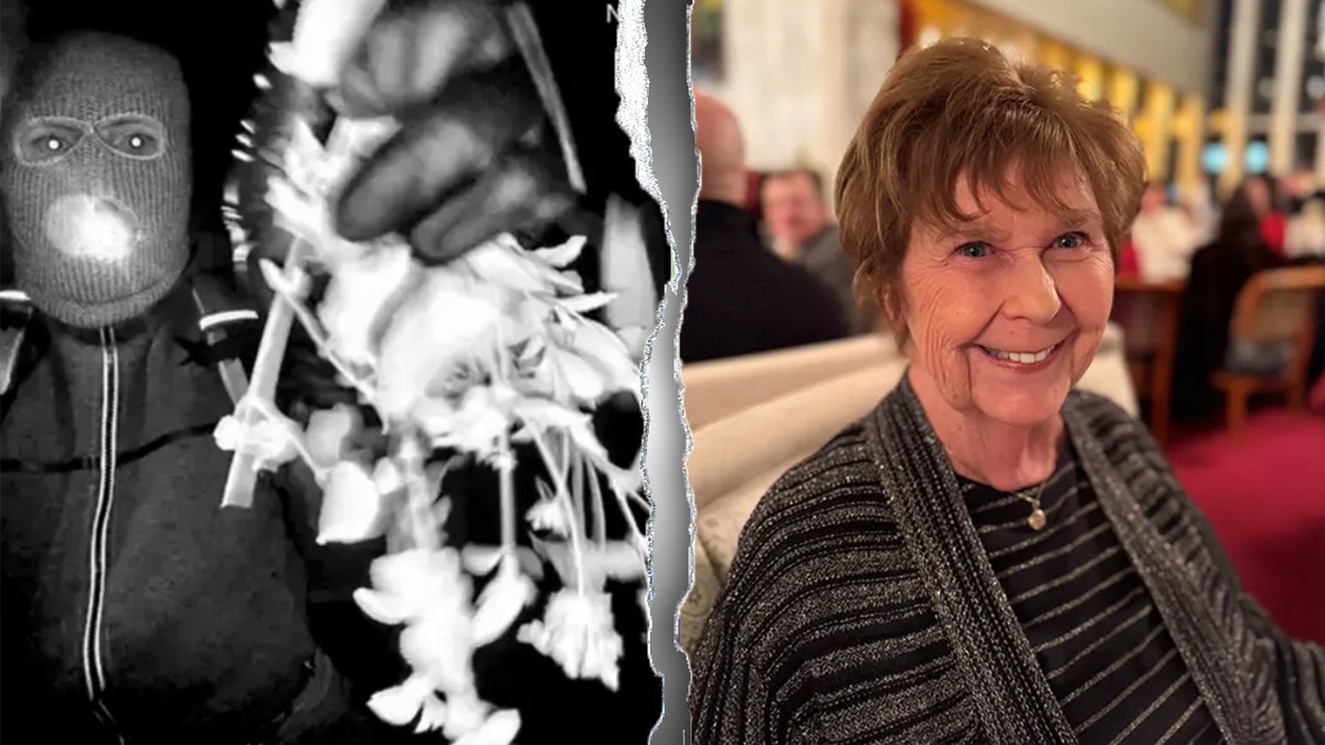 Challenges in DNA Testing in Nancy Guthrie Case