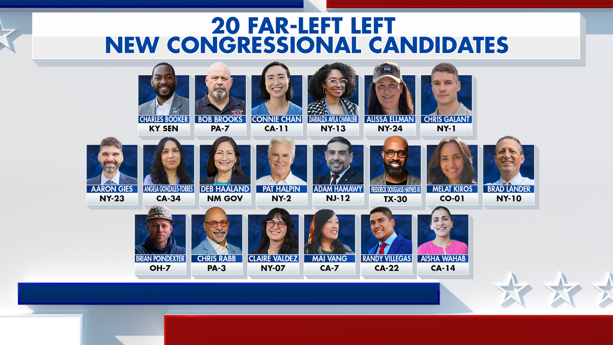 Van Jones Criticizes Far-Left Activists’ Impact on Democratic Party
