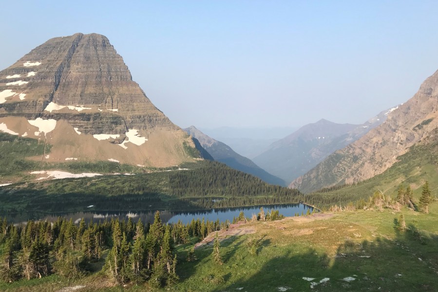 Florida Man Fatally Attacked by Bear in Glacier National Park