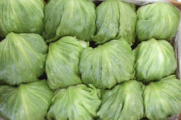 Taylor Farms’ Voluntary Recall Amid Cyclosporiasis Outbreak