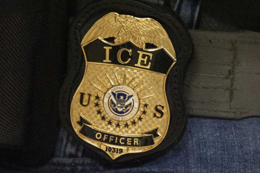 Allegations of Violence and Racism Surrounding ICE Officer in Fatal Shooting