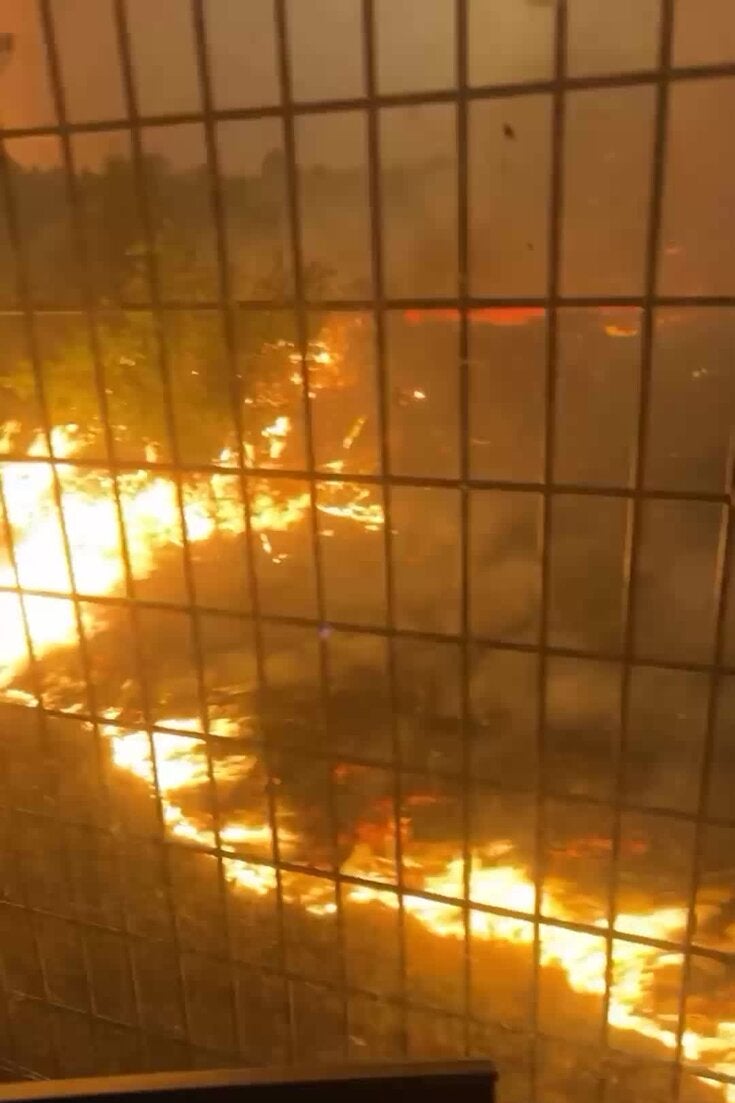 Wildfires Devastate Village in Southwestern France