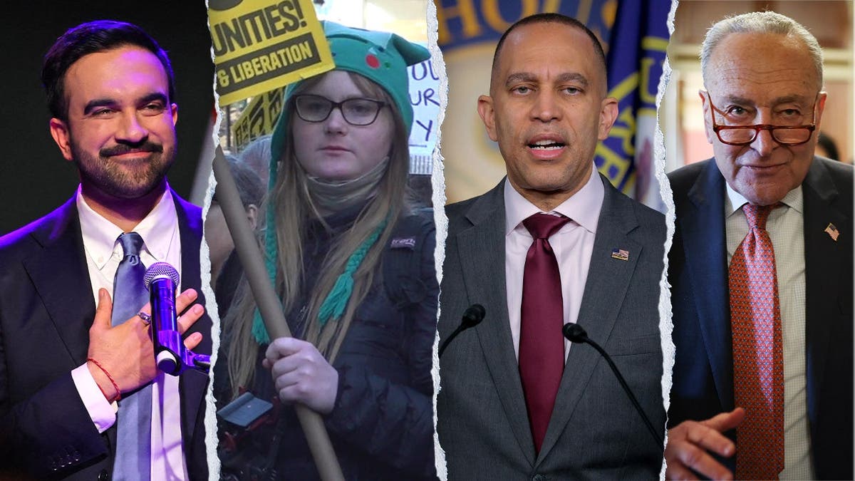 Democratic Party Faces Internal Strain With Socialist Influence Growing