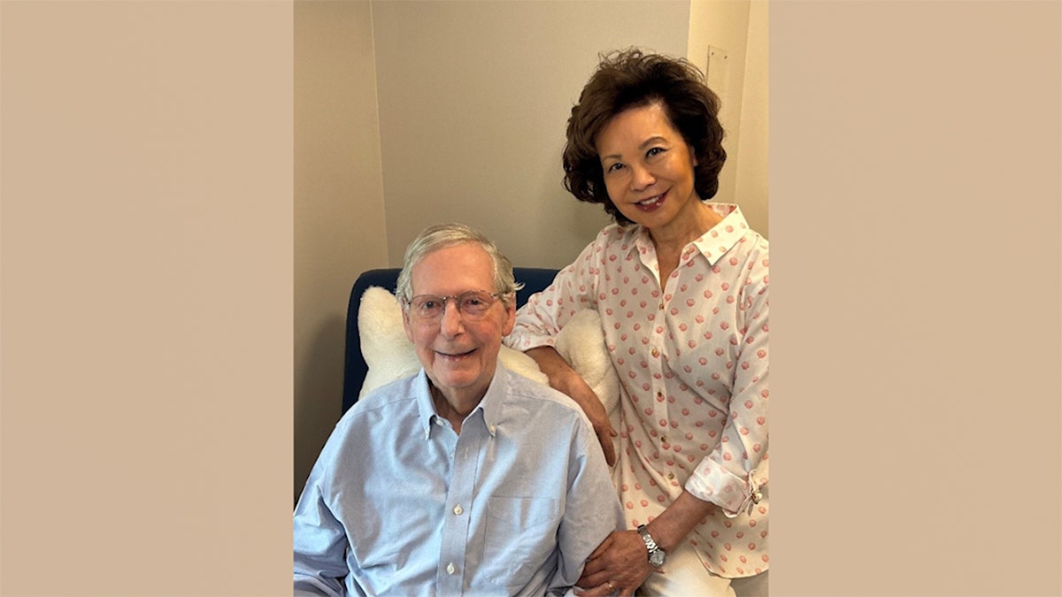 Kentucky Governor Questions Mitch McConnell’s Fitness to Serve