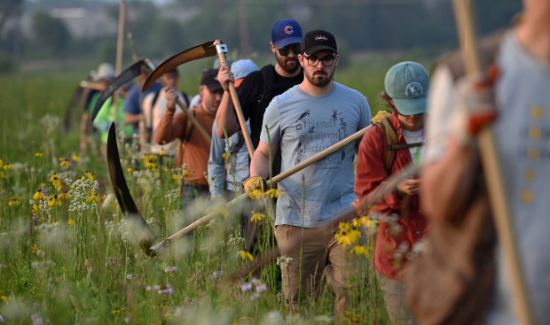 Volunteers Use Scythes to Restore Somme Prairie Nature Preserve