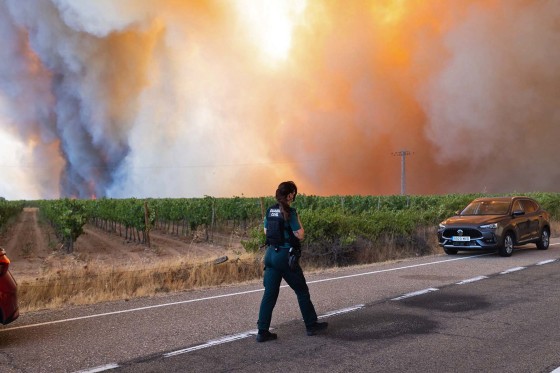 France and Spain Wildfires Devastate Land