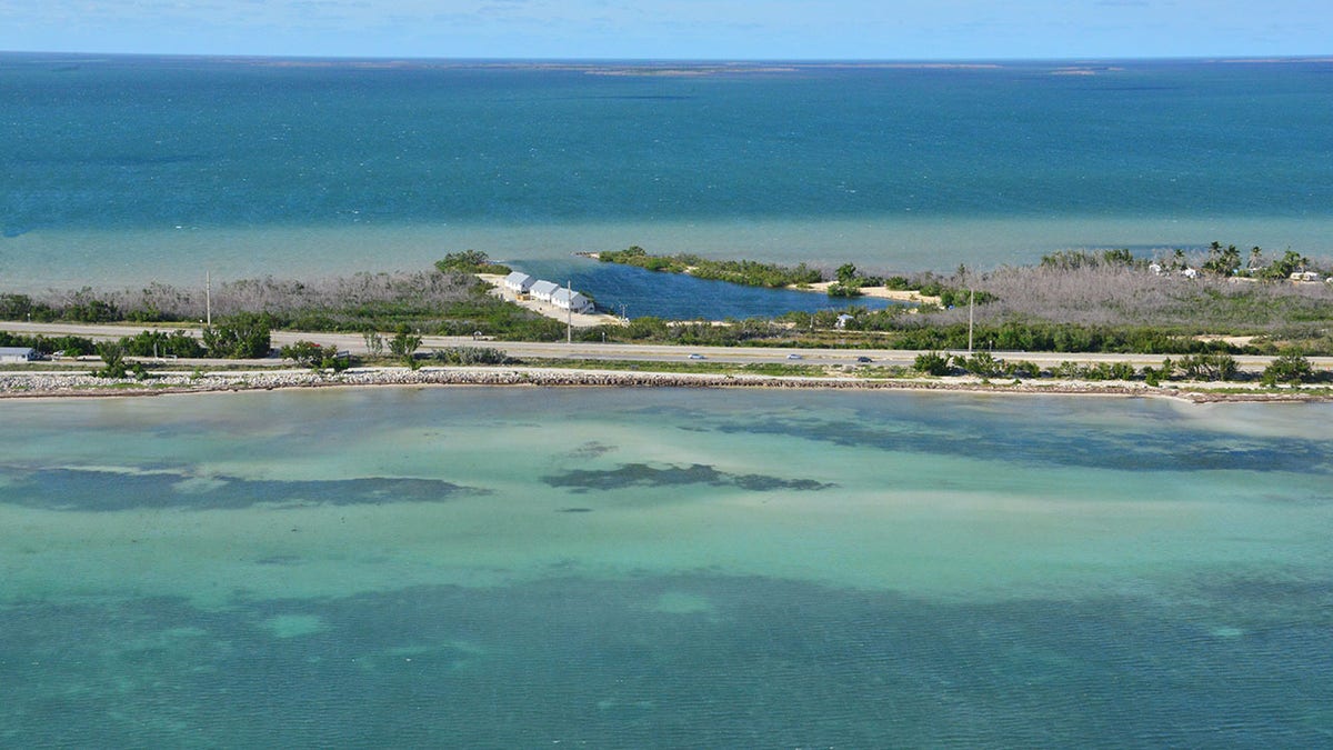 Exploring Florida’s Spiny Lobster Mini Season