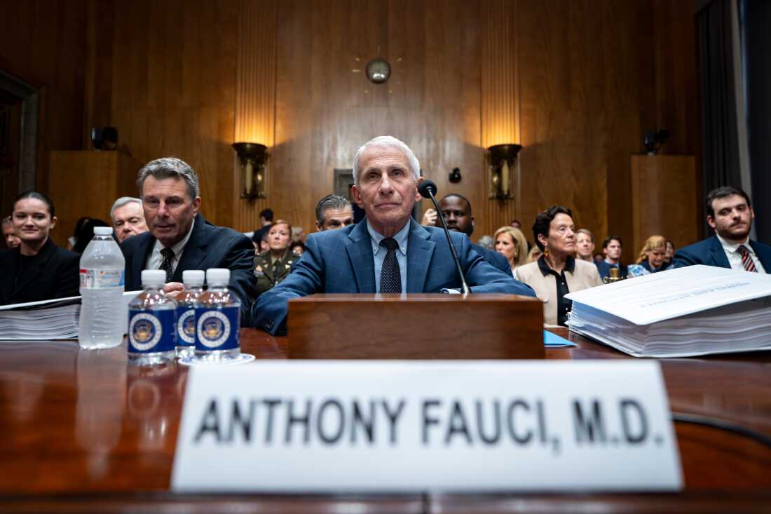 Public Health Challenges and the Effects of Political Scrutiny