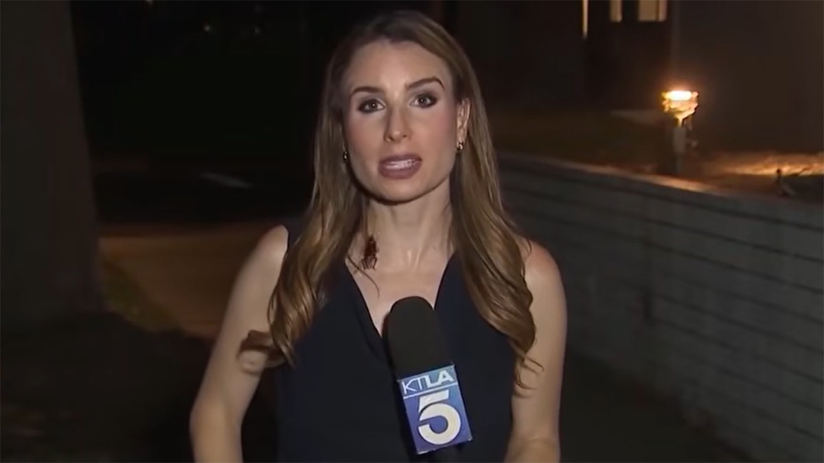 Rachel Menitoff’s Viral Cockroach Encounter During Live Report