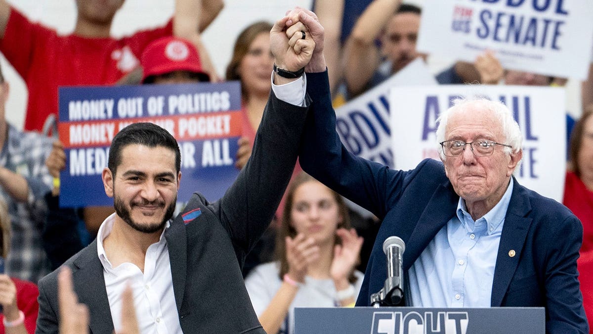 Michigan Democratic Senate Primary Highlights Ideological Divide