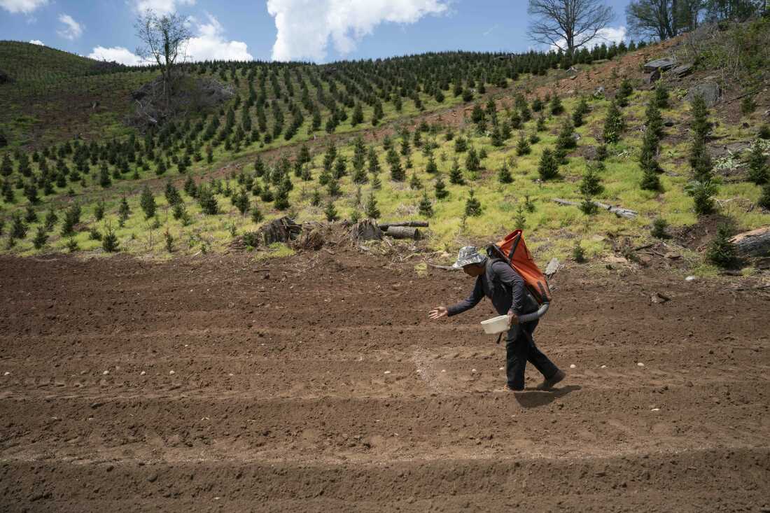 Impact of Fertilizer Shortages Amid Global Conflicts