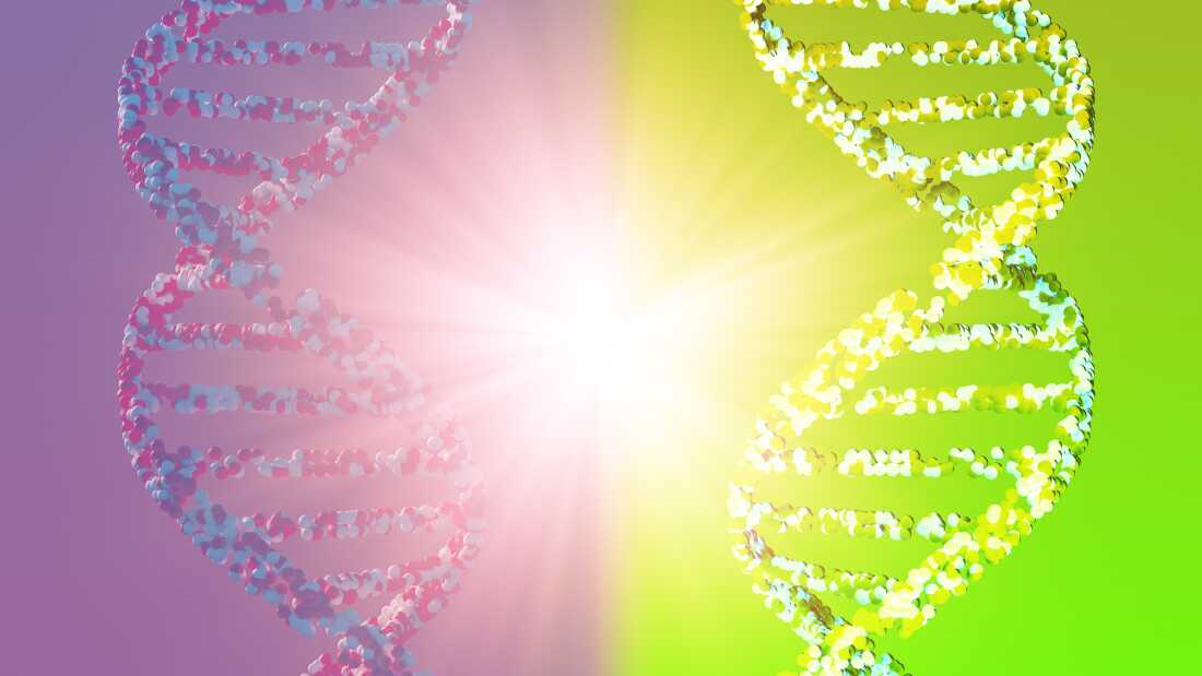 The Potential Risks of Developing Mirror Cells