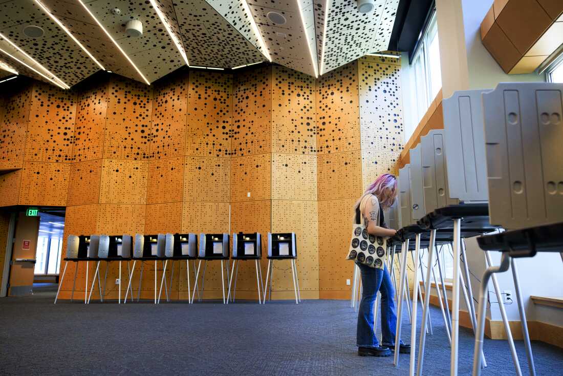 Debating Democratic Strategies Ahead of Elections