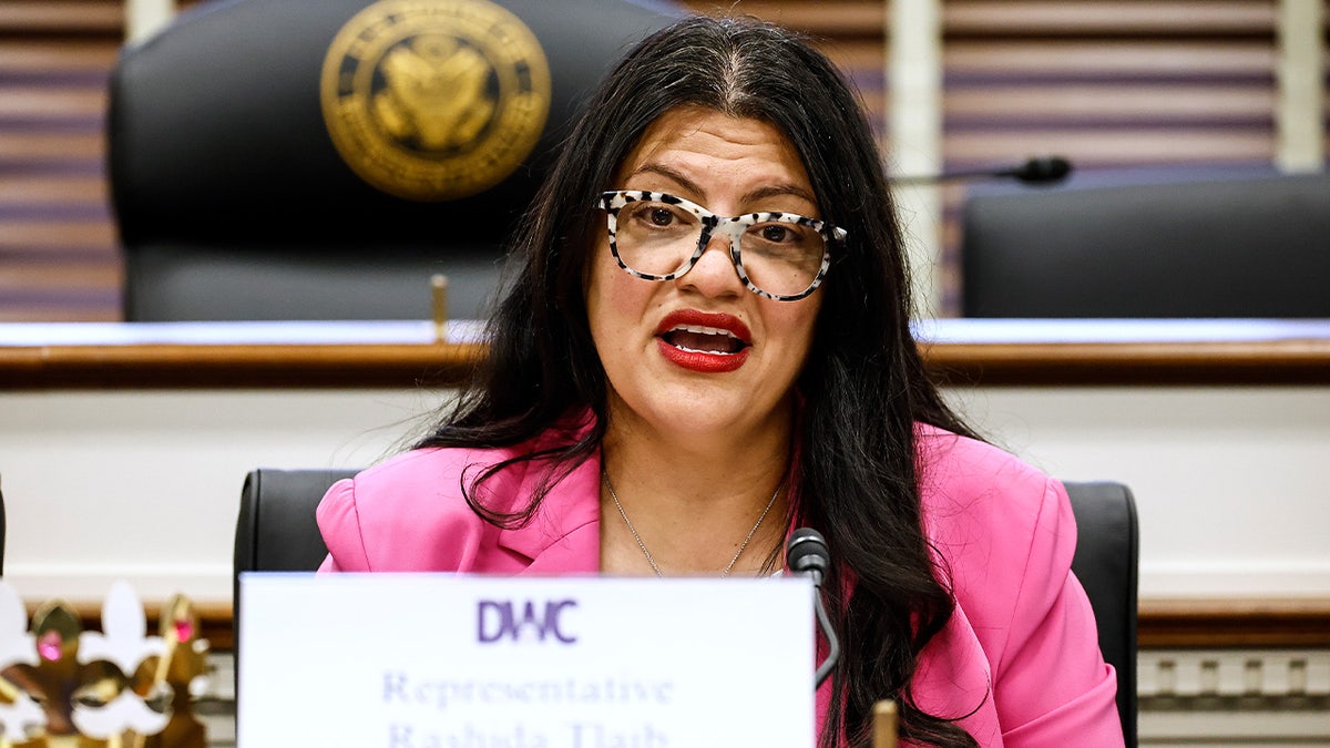 Rep. Rashida Tlaib Criticized as She Supports Candidates Challenging House Democrats