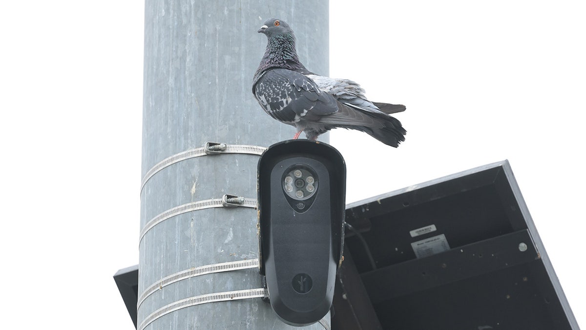 The Debate Over Automatic License Plate Readers and Privacy Concerns